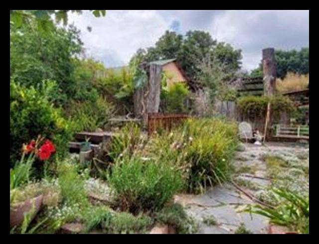 BUSINESS FOR SALE IN TERENURE